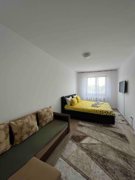Alex 2 Apartament Iasi Exteriér fotografie